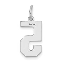 14K White Gold Medium Satin Number 5 Charm view 4