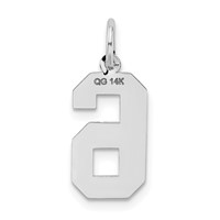 14K White Gold Medium Satin Number 6 Charm view 4