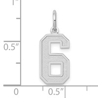 14K White Gold Medium Satin Number 6 Charm view 3