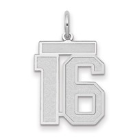 14K White Gold Medium Satin Number 16 Charm view 1
