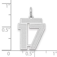 14K White Gold Medium Satin Number 17 Charm view 2
