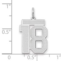 14K White Gold Medium Satin Number 18 Charm view 2