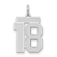 14K White Gold Medium Satin Number 18 Charm view 1