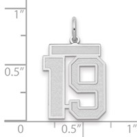 14kw Medium Satin Number 19 Charm view 2