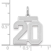 14K White Gold Medium Satin Number 20 Charm view 2