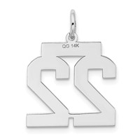 14K White Gold Medium Satin Number 22 Charm view 3