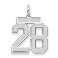 14kw Medium Satin Number 28 Charm view 1