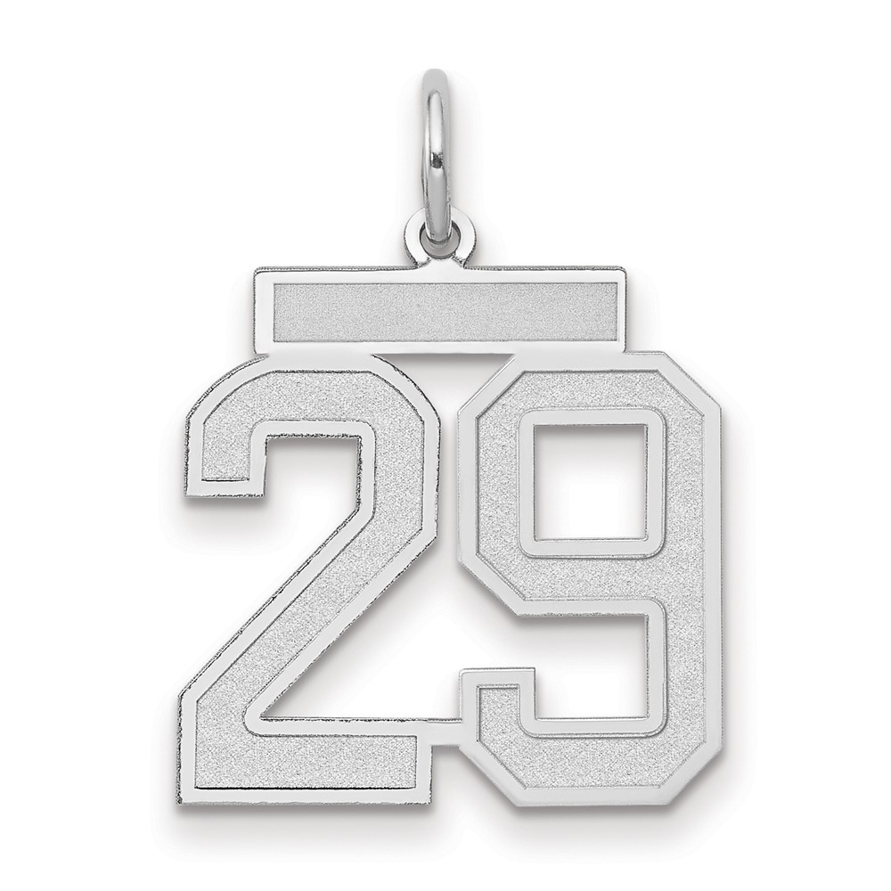 14K White Gold Medium Satin Number 29 Charm