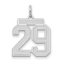 14K White Gold Medium Satin Number 29 Charm view 1