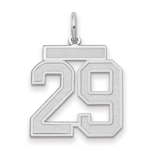 14K White Gold Medium Satin Number 29 Charm