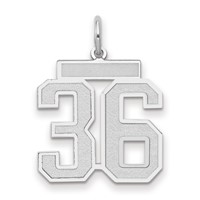 14K White Gold Medium Satin Number 36 Charm view 1