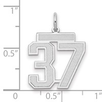 14K White Gold Medium Satin Number 37 Charm view 2