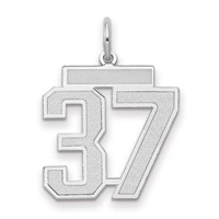 14K White Gold Medium Satin Number 37 Charm view 1