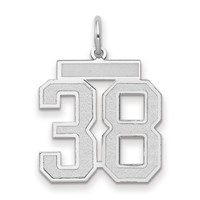 14K White Gold Medium Satin Number 38 Charm view 1
