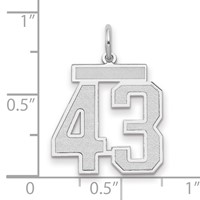 14K White Gold Medium Satin Number 43 Charm view 2