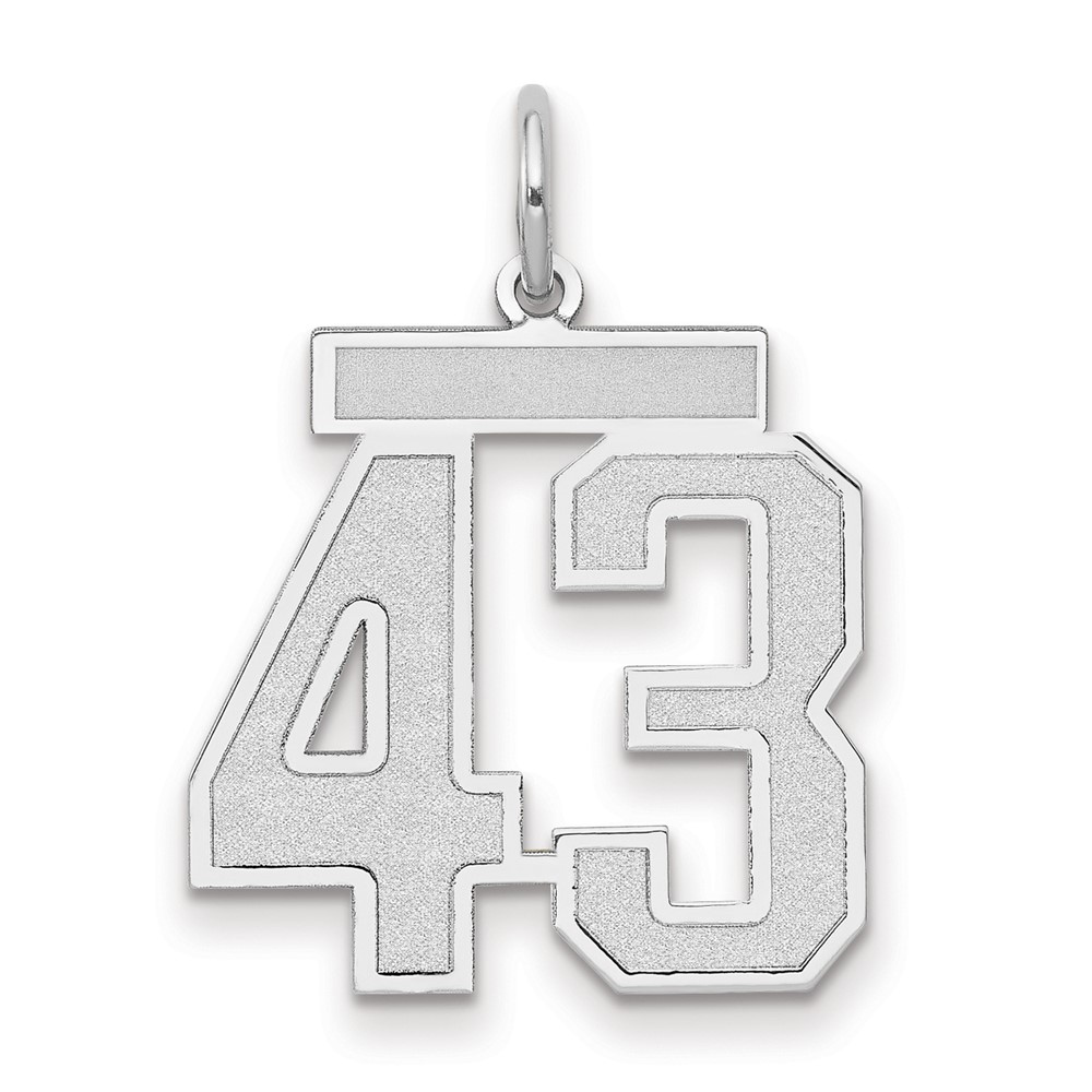 14K White Gold Medium Satin Number 43 Charm