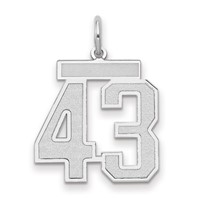 14K White Gold Medium Satin Number 43 Charm view 1