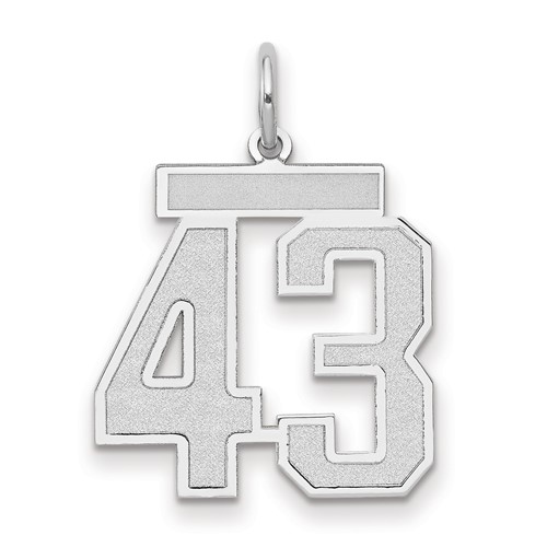 14K White Gold Medium Satin Number 43 Charm