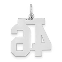 14K White Gold Medium Satin Number 46 Charm view 3