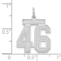 14K White Gold Medium Satin Number 46 Charm view 4