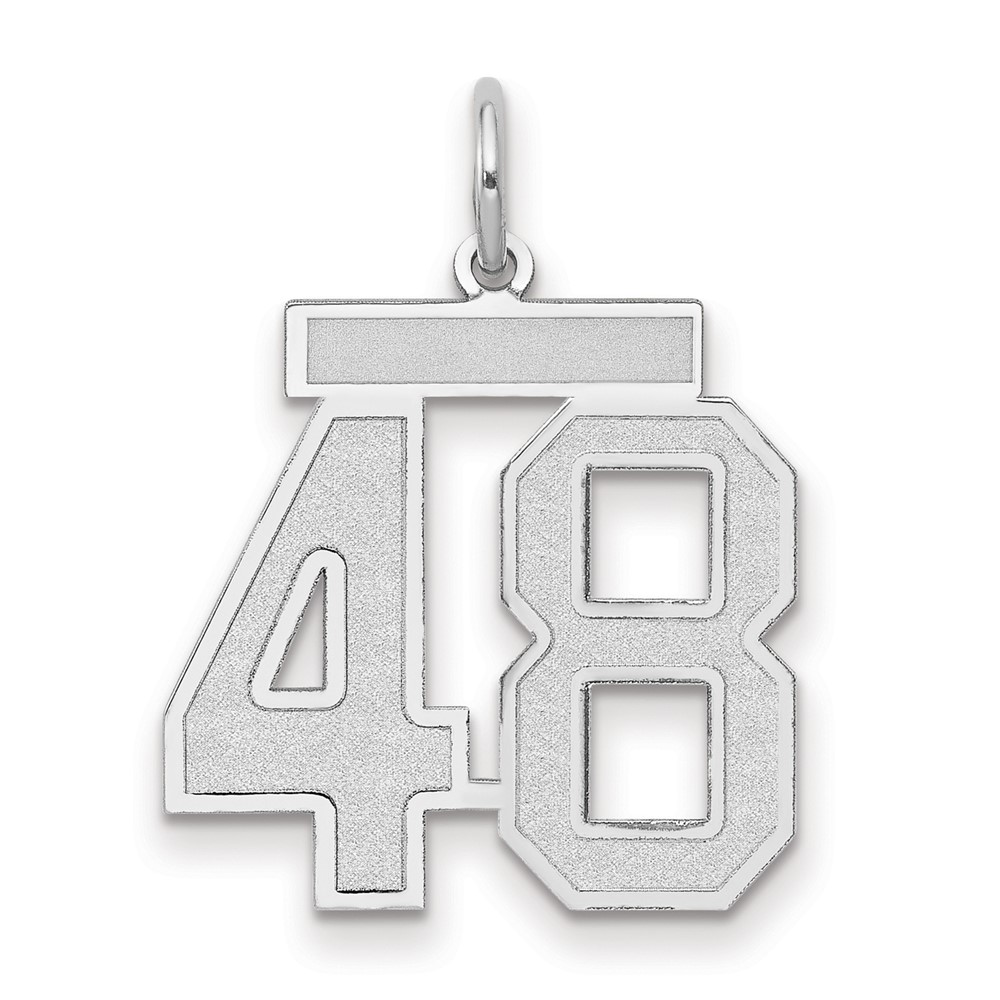 14K White Gold Medium Satin Number 48 Charm