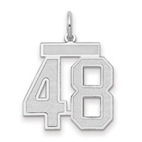 14K White Gold Medium Satin Number 48 Charm view 1