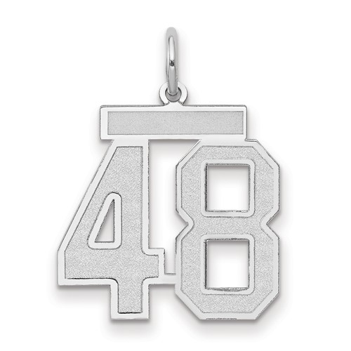 14K White Gold Medium Satin Number 48 Charm