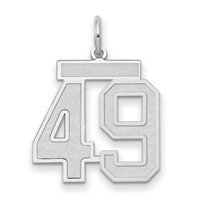 14K White Gold Medium Satin Number 49 Charm view 1