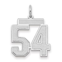 14K White Gold Medium Satin Number 54 Charm view 1