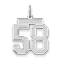 14kw Medium Satin Number 58 Charm view 1