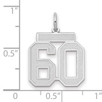 14K White Gold Medium Satin Number 60 Charm view 2