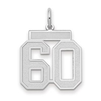 14K White Gold Medium Satin Number 60 Charm view 1
