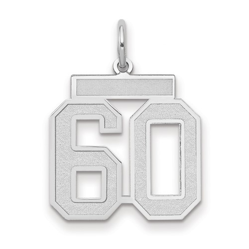 14K White Gold Medium Satin Number 60 Charm