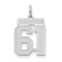 14K White Gold Medium Satin Number 61 Charm view 1
