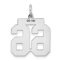 14K White Gold Medium Satin Number 66 Charm view 3