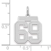 14K White Gold Medium Satin Number 69 Charm view 2