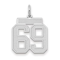 14K White Gold Medium Satin Number 69 Charm view 1