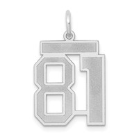 14K White Gold Medium Satin Number 81 Charm view 1