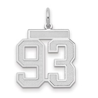 14K White Gold Medium Satin Number 93 Charm view 1