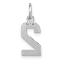 14K White Gold Small Brushed Diamond-cut Number 2 Charm view 4