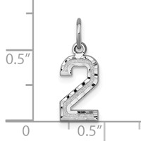 14K White Gold Small Brushed Diamond-cut Number 2 Charm view 3