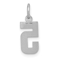 14K White Gold Small Brushed Diamond-cut Number 5 Charm view 4