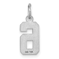 14K White Gold Small Brushed Diamond-cut Number 6 Charm view 4