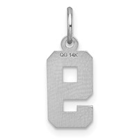 14K White Gold Small Brushed Diamond-cut Number 9 Charm view 4