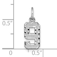 14K White Gold Small Brushed Diamond-cut Number 9 Charm view 3