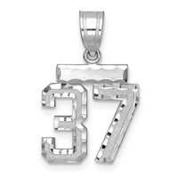 14K White Gold Small Brushed Diamond-cut Number 37 Charm view 1