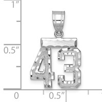 14K White Gold Small Brushed Diamond-cut Number 43 Charm view 2