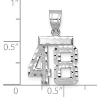 14K White Gold Small Brushed Diamond-cut Number 48 Charm view 2