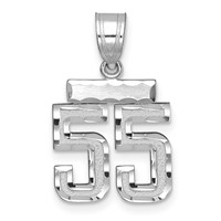14K White Gold Small Brushed Diamond-cut Number 55 Charm view 1