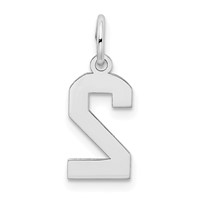 14K White Gold Small Satin Number 2 Charm view 4